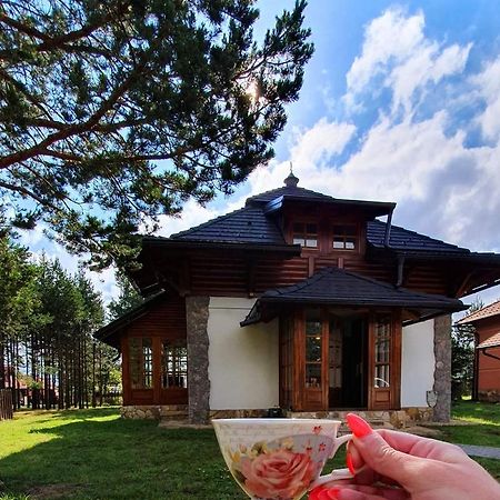 Vila Panic Zlatibor Exteriér fotografie