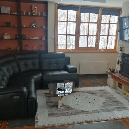 Vila Panic Zlatibor Exteriér fotografie