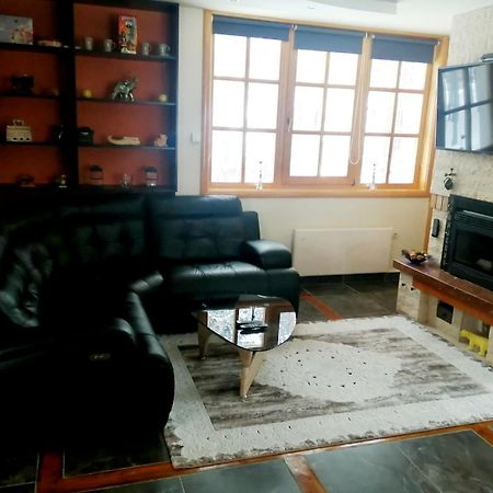 Vila Panic Zlatibor Exteriér fotografie