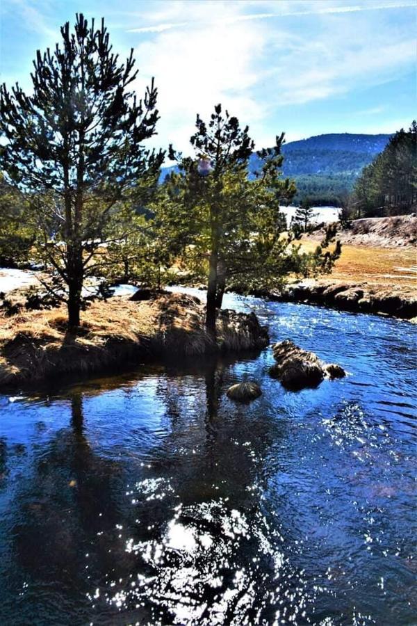 Vila Panic Zlatibor Exteriér fotografie