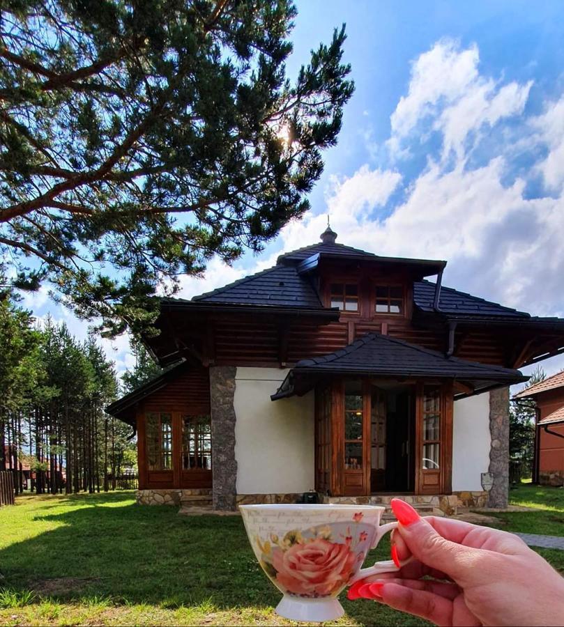 Vila Panic Zlatibor Exteriér fotografie