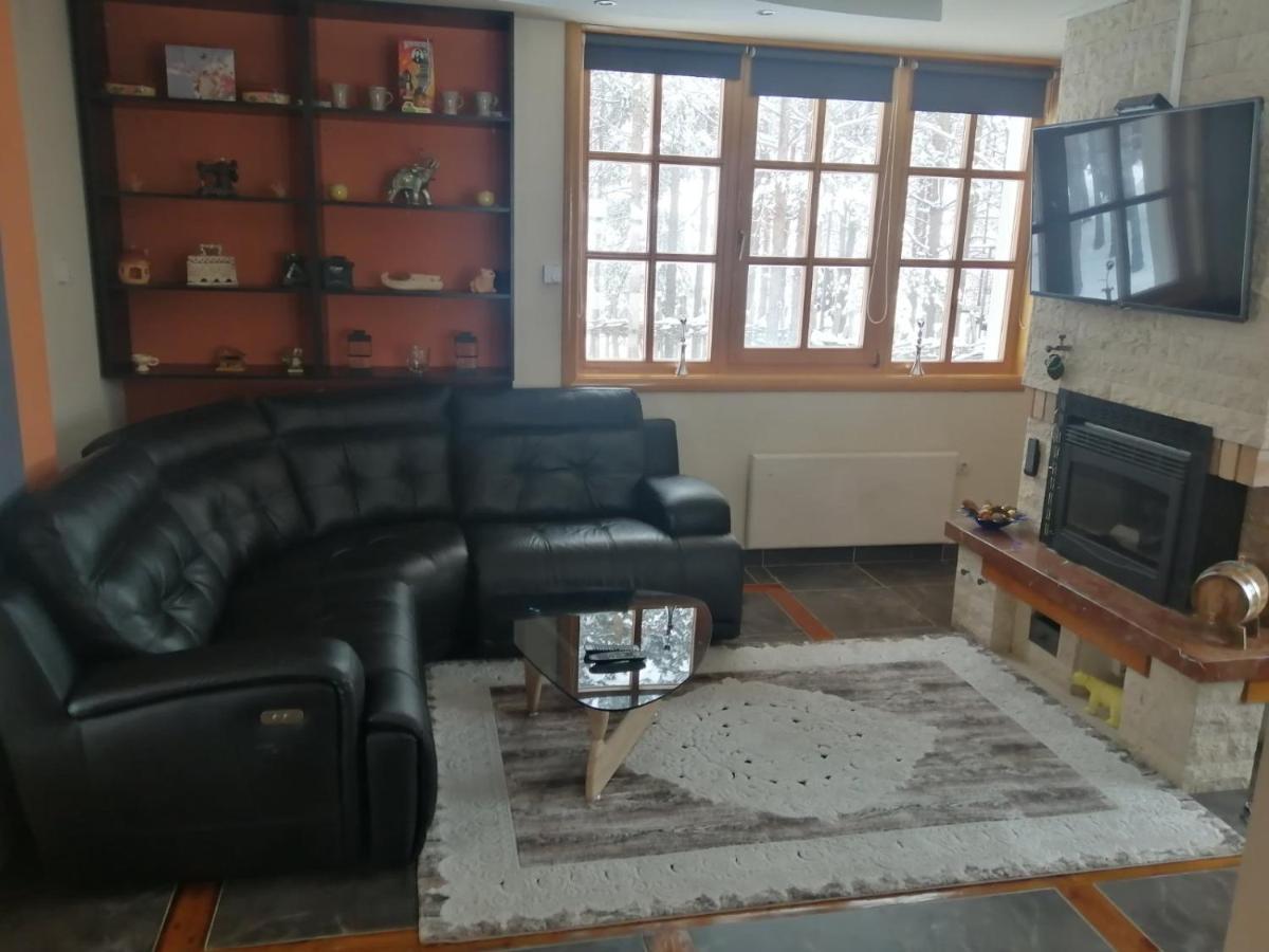 Vila Panic Zlatibor Exteriér fotografie