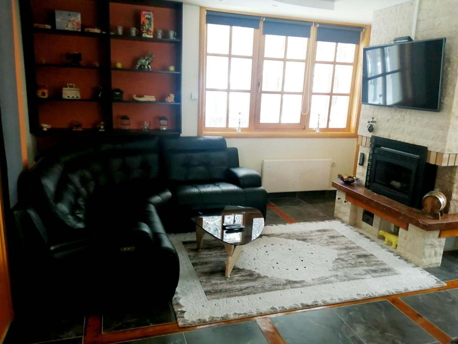 Vila Panic Zlatibor Exteriér fotografie