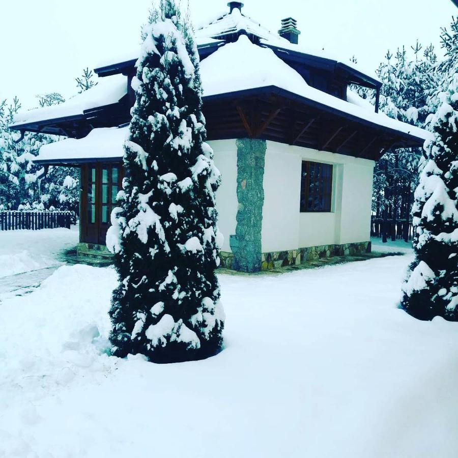 Vila Panic Zlatibor Exteriér fotografie