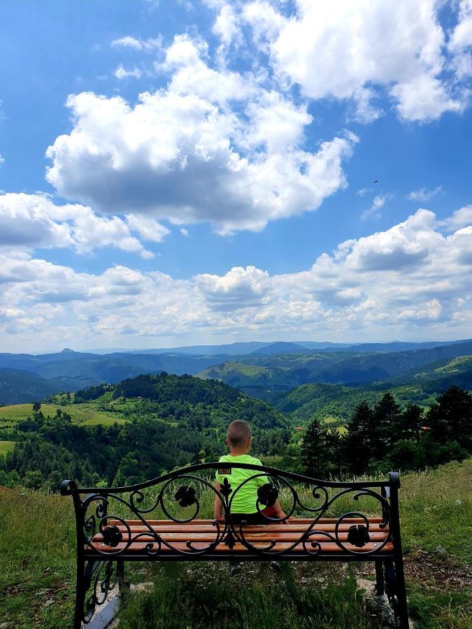 Vila Panic Zlatibor Exteriér fotografie