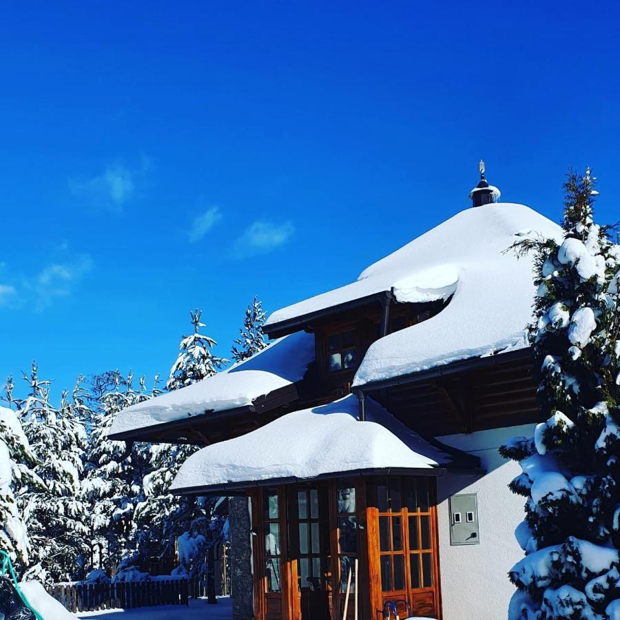 Vila Panic Zlatibor Exteriér fotografie